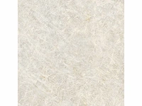 Vloertegel 57,6m² kristal natuurlijk 120x120cm - afbeelding 5 van  10