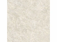 Vloertegel 57,6m² kristal natuurlijk 120x120cm - afbeelding 7 van  10