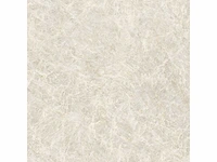 Vloertegel 57,6m² kristal natuurlijk 120x120cm - afbeelding 10 van  10