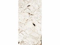 Vloertegel 67,68m² tundra glanzend 60x120cm - afbeelding 9 van  12