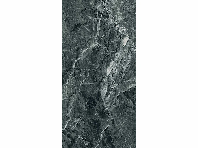 Vloertegel 69,12m² alpi glanzend 60x120cm - afbeelding 4 van  11