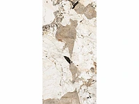 Vloertegel 86,4m² tundra glanzend 60x120cm - afbeelding 11 van  12