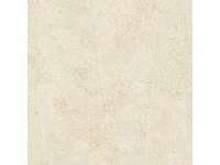 Vloertegel 87,04m² montpellier 80x80cm - afbeelding 6 van  8