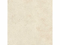 Vloertegel 87,04m² montpellier 80x80cm - afbeelding 4 van  8