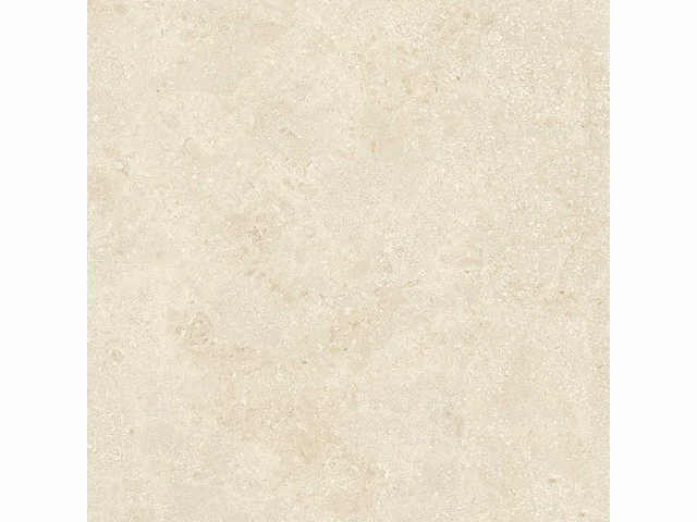 Vloertegel 87,04m² montpellier 80x80cm - afbeelding 6 van  8