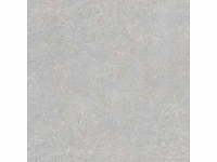 Vloertegel 97,2m² micron parel 90x90cm - afbeelding 10 van  10