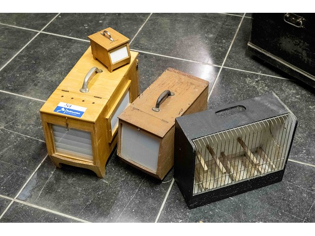 Vogelbakjes en 1 spaarpot - afbeelding 1 van  2