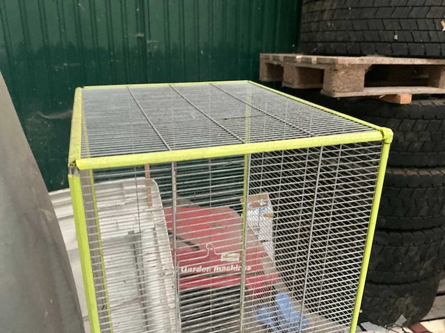 Vogelkooi - afbeelding 3 van  3