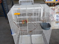 Vogelkooi - afbeelding 1 van  3