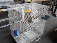 Vogelkooi - afbeelding 2 van  3