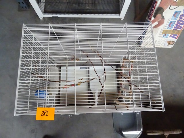 Vogelkooi - afbeelding 3 van  3