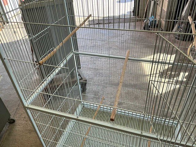 Vogelkooi - afbeelding 3 van  3