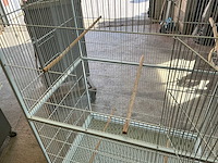 Vogelkooi - afbeelding 3 van  3