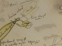 Vogelmarkt - 2005 - xl - afbeelding 1 van  2