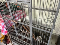 Vogelverblijf - afbeelding 6 van  6