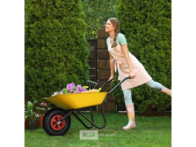 Vol kruiwagenwiel - afbeelding 4 van  6