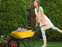 Vol kruiwagenwiel - afbeelding 4 van  6