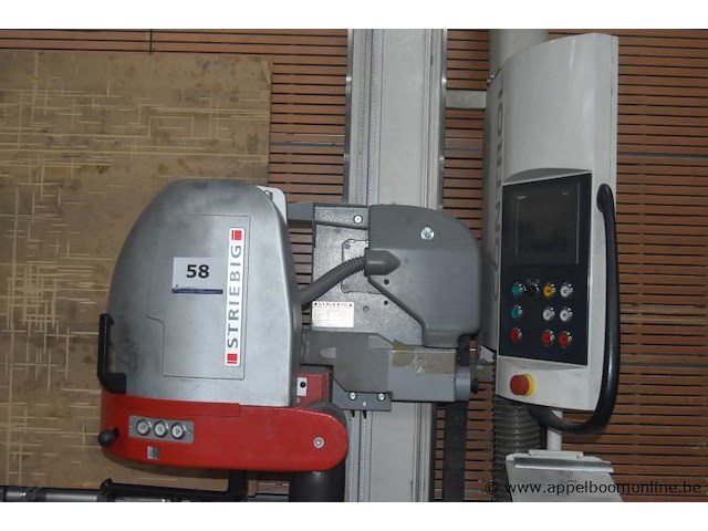 Volautomatische verticale paneelzaagmachine striebig control aku 09 6216, sr nr 43012, bj 2012 - afbeelding 2 van  5