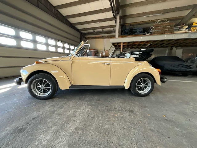 Volkswagen cabrio cabrio - afbeelding 26 van  65