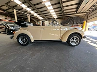 Volkswagen cabrio cabrio - afbeelding 30 van  65