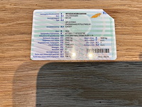 Volkswagen caddy, 2011 - afbeelding 38 van  45
