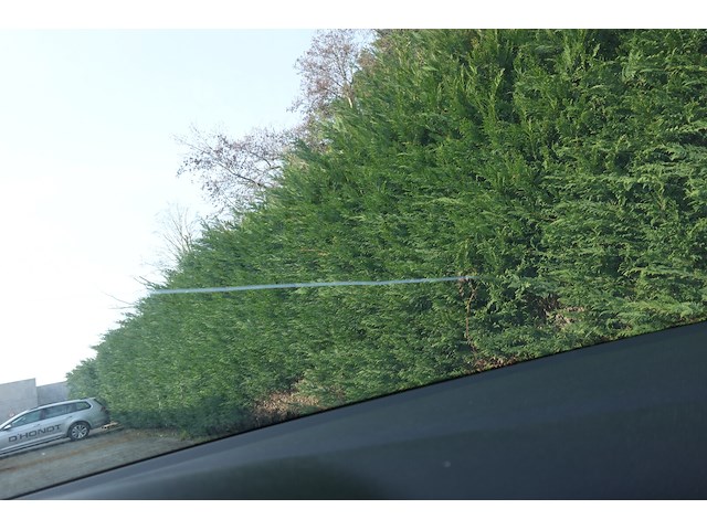 Volkswagen golf auv - afbeelding 25 van  25