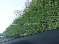 Volkswagen golf auv - afbeelding 25 van  25