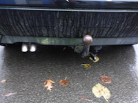 Volkswagen golf - afbeelding 13 van  21