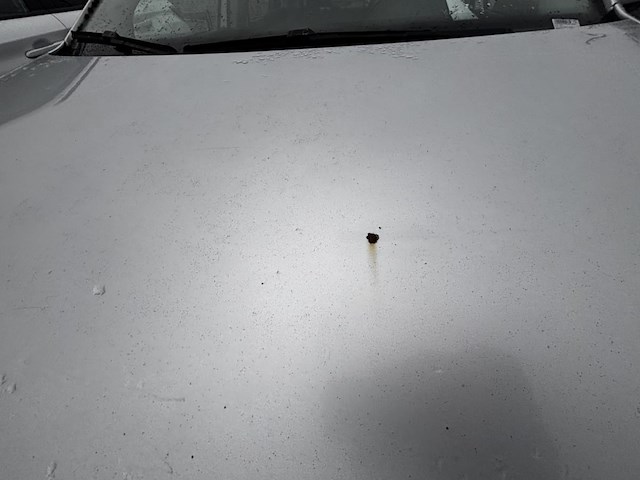 Volkswagen polo 1.9 tdi trendline, 2007 - afbeelding 20 van  40