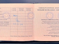 Volkswagen polo oldtimer - afbeelding 18 van  29