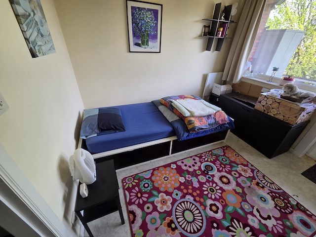 Volledige inboedel appartement en kelder in deurne - afbeelding 42 van  84