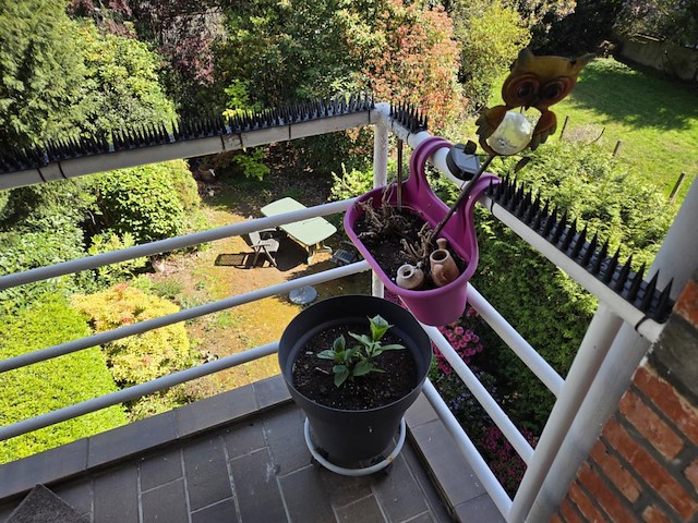 Volledige inboedel appartement en kelder in deurne - afbeelding 47 van  84