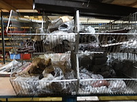 Volledige inhoud rek metaal - afbeelding 29 van  36