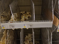 Volledige inhoud rek pvc koppelstukken - afbeelding 13 van  15