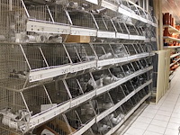 Volledige inhoud rek pvc koppelstukken - afbeelding 10 van  17