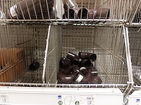 Volledige inhoud rek pvc koppelstukken - afbeelding 15 van  17