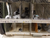 Volledige inhoud rek pvc toebehoren - afbeelding 22 van  25