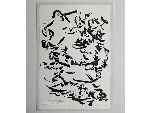 Volledige map belgische tekenaars (36x) - afbeelding 5 van  73