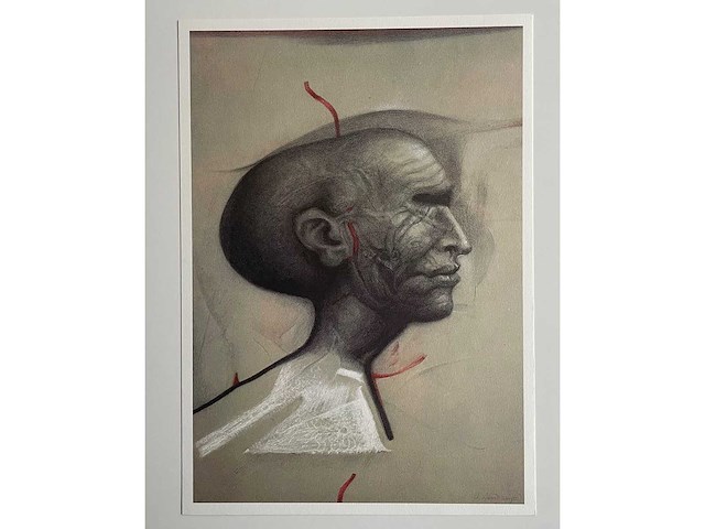 Volledige map belgische tekenaars (36x) - afbeelding 50 van  73