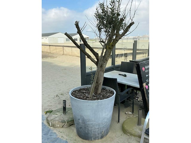 Volledige restaurantinrichting - afbeelding 91 van  93