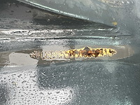 Volvo - 2009 - ec55b - midigraafmachine - afbeelding 35 van  41