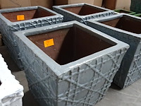 Vorstvrije terracotta bloembak - afbeelding 2 van  3