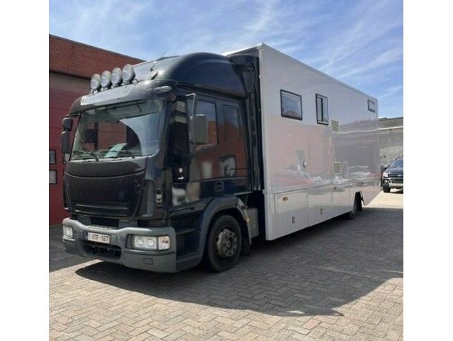 Vrachtwagen iveco eurocargo - hoogstraten