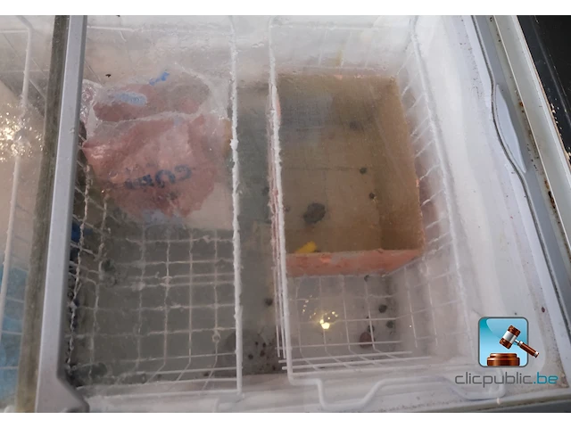 Vriezer met inhoud - afbeelding 4 van  7