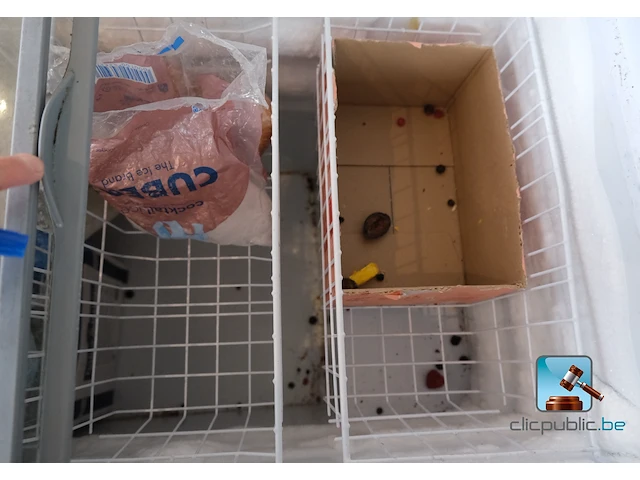 Vriezer met inhoud - afbeelding 5 van  7