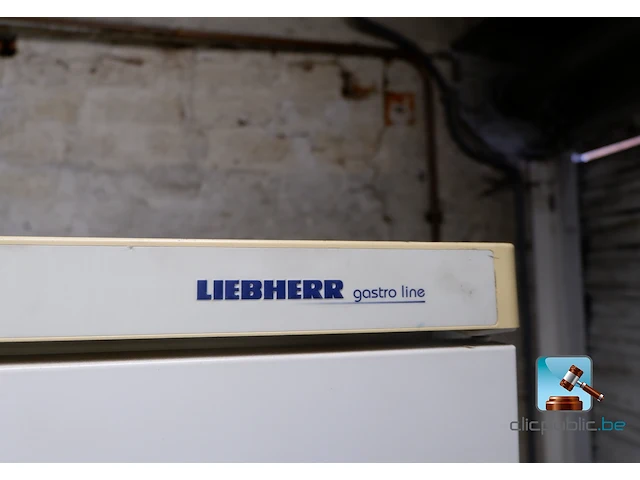 Vriezer - afbeelding 2 van  9