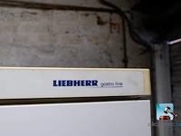 Vriezer - afbeelding 2 van  9