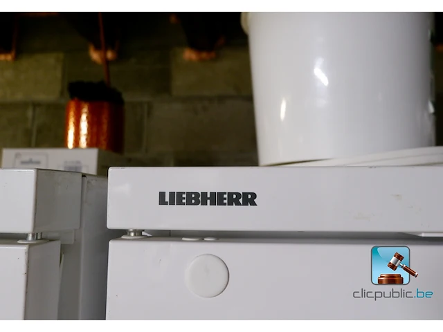 Vriezer - afbeelding 2 van  8