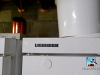 Vriezer - afbeelding 2 van  8