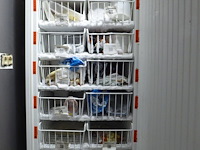 Vriezer - afbeelding 2 van  2